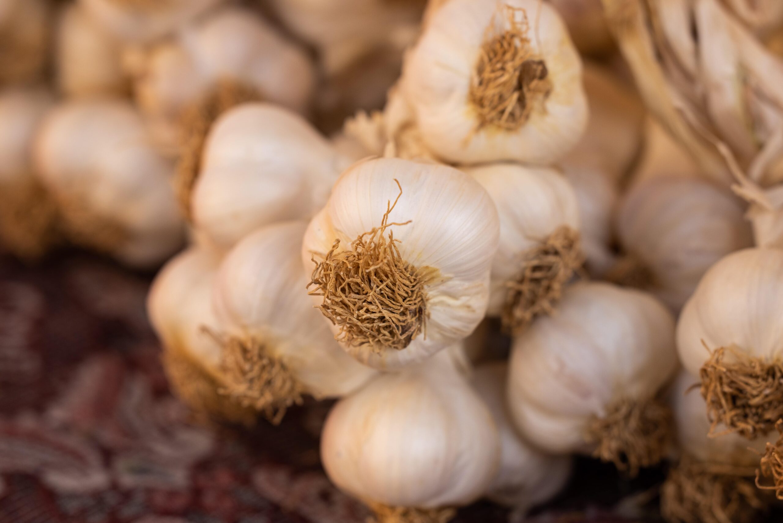 10 health benefits of organic Garlic